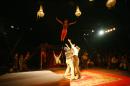 le chant du dindon 061 * 4368 x 2912 * (6.36MB)